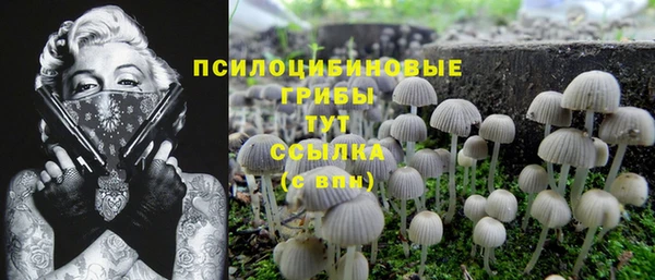стаф Армянск