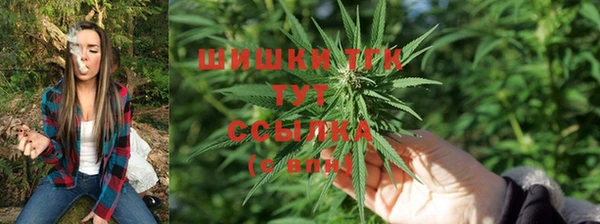 стаф Армянск
