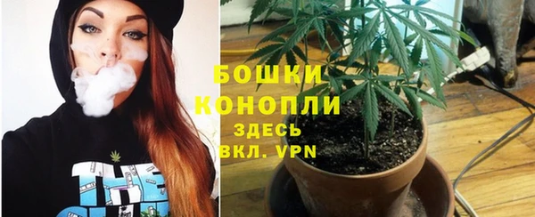 тгк Арсеньев