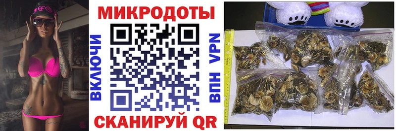 Псилоцибиновые грибы мицелий omg Макаров как найти закладки